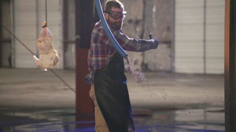 Un pollo derrota al 'gran carnicero' con su cuchillo