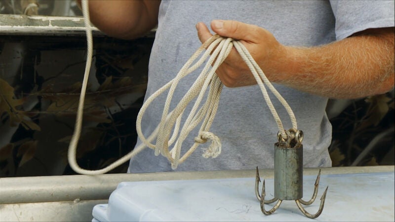 El rey del pantano se prepara para su día más importante del año