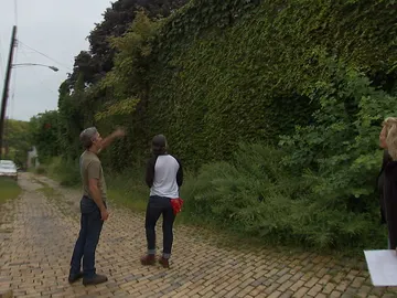 Almacén cubierto por la hiedra Almacén cubierto por la hiedra