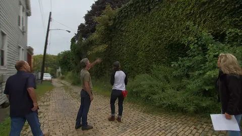 Almacén cubierto por la hiedra Cazatesoros