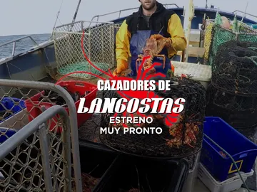 Cazadores de langostas Cazadores de langostas