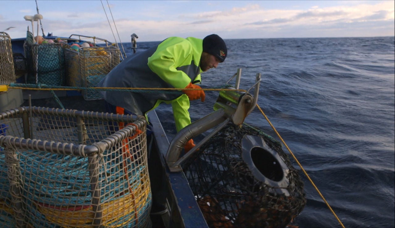 No hay suerte en la pesca de hoy
