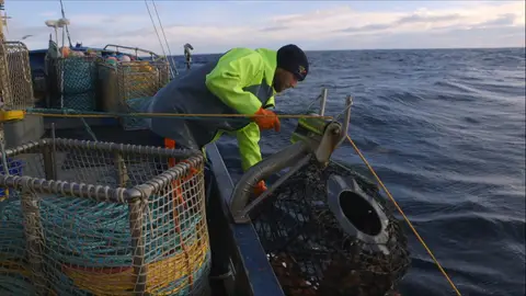 No hay suerte en la pesca de hoy Cazadores de langostas