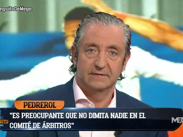 PEDREROL: "EL ARBITRAJE EN ESPAÑA ES UN DESASTRE" PEDREROL: "EL ARBITRAJE EN ESPAÑA ES UN DESASTRE"