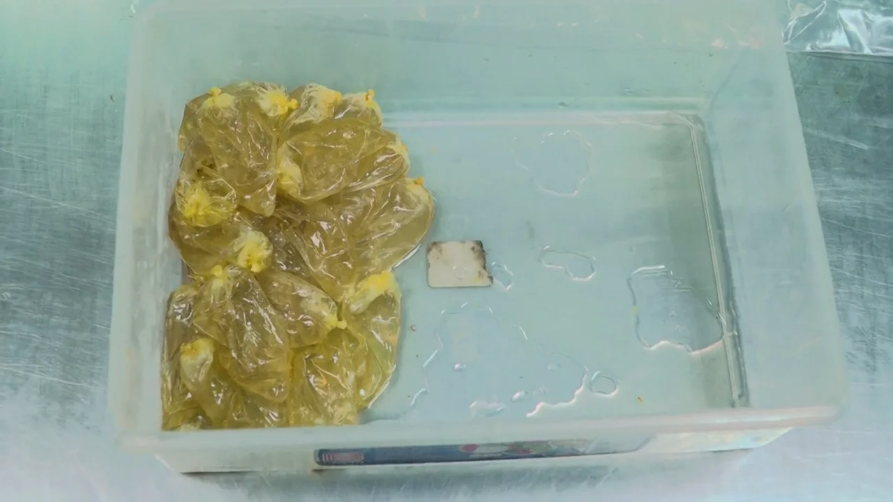 Se tragan 50 capsulas de cocaína liquida por 200€ Se tragan 50 capsulas de cocaína liquida por 200€