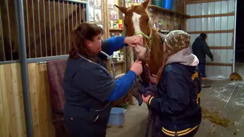 Si un caballo tiene las patas hacia arriba es muy mala señal. Te contamos la razón Si un caballo tiene las patas hacia arriba es muy mala señal. Te contamos la razón