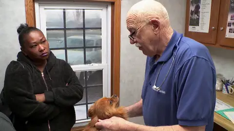 Moses podría perder un ojo Moses podría perder un ojo