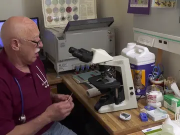 El Dr. Pol consigue salvar el oído de la gata Buttercup El Dr. Pol consigue salvar el oído de la gata Buttercup