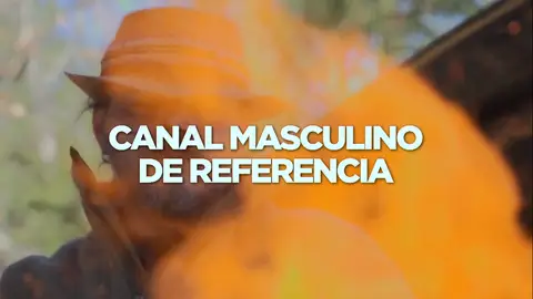 Mega Audiencias