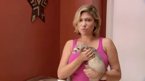 Rosco es un hurón especial por lo que tiene que pasar una revisión mensual Rosco es un hurón especial por lo que tiene que pasar una revisión mensual