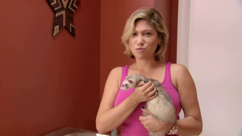 Rosco es un hurón especial por lo que tiene que pasar una revisión mensual