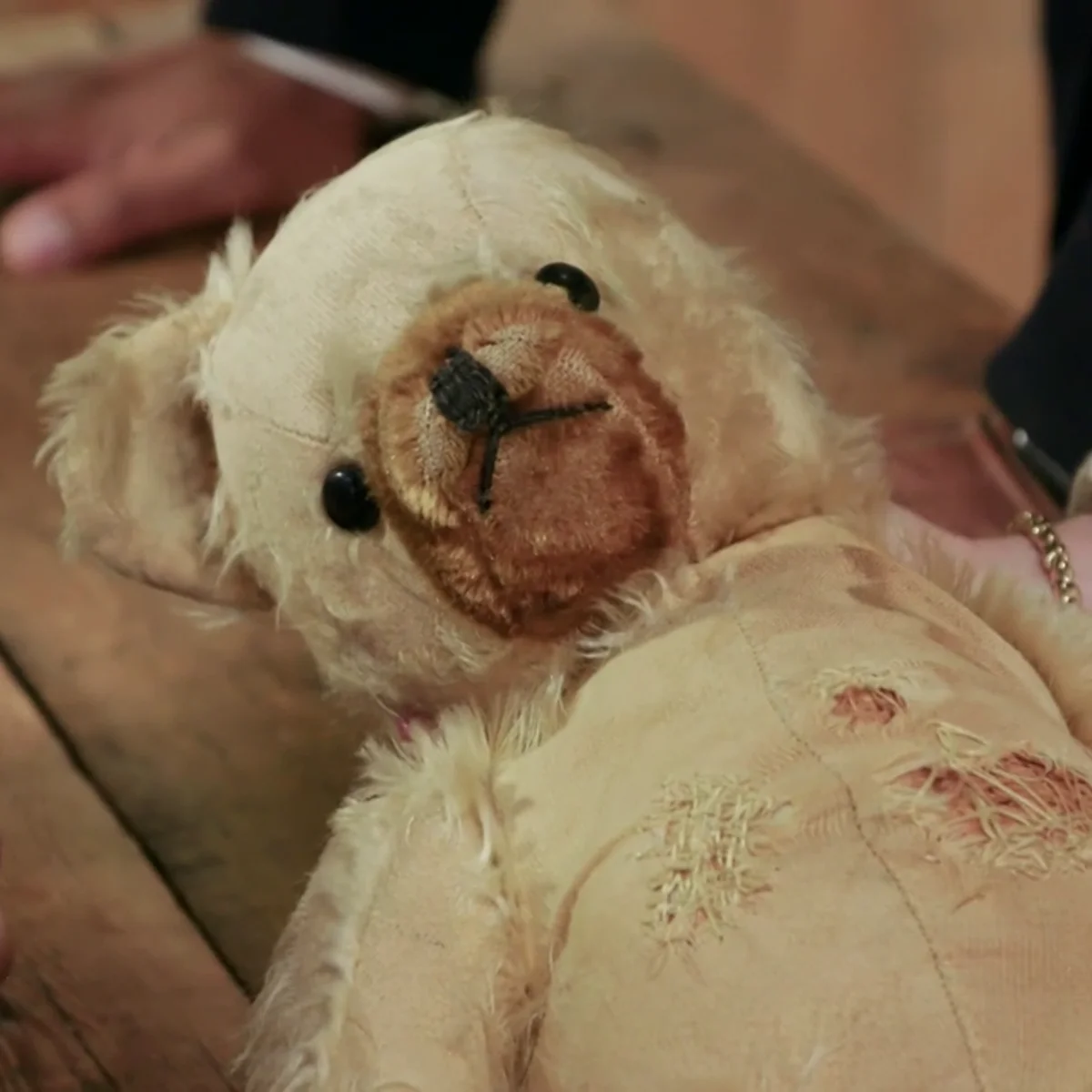Un oso de peluche es restaurado para que pueda viajar a Australia