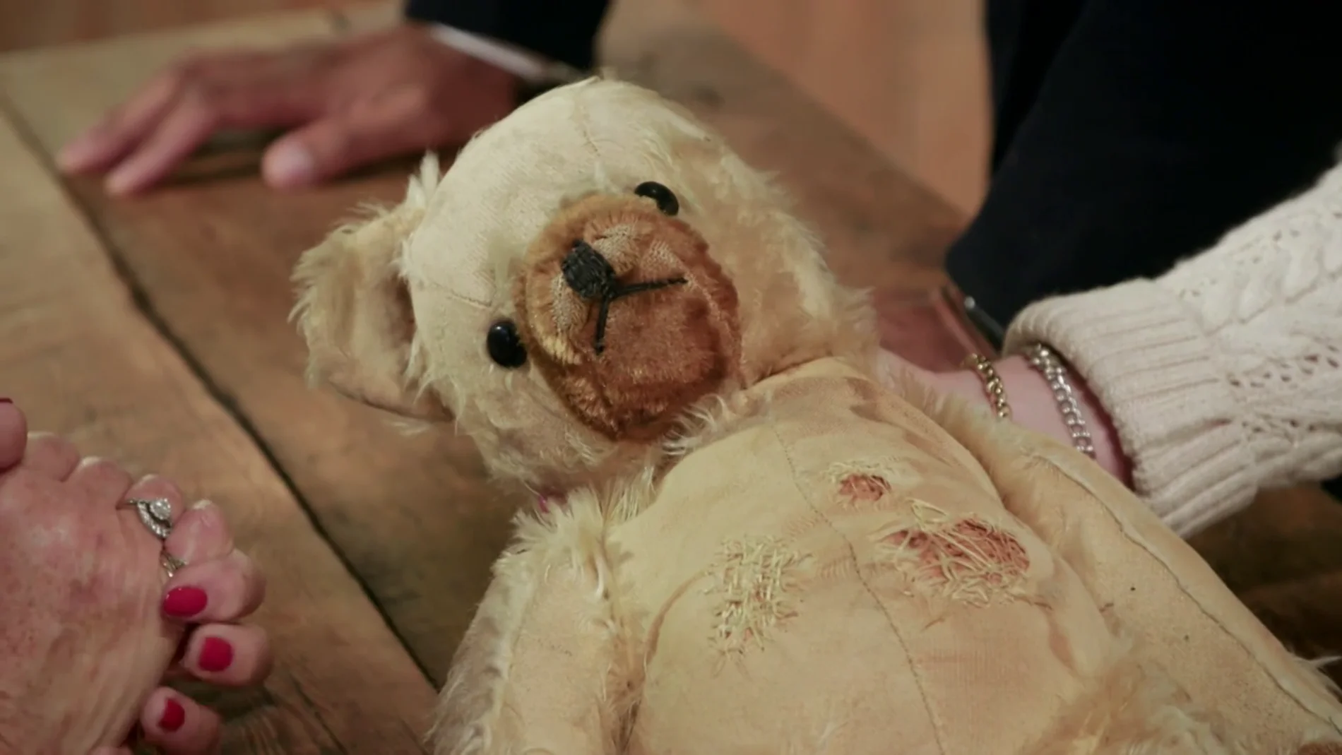 Un oso de peluche es restaurado para que pueda viajar a Australia