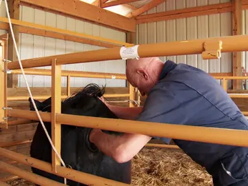 El Dr. Pol se espera lo inesperado El Dr. Pol se espera lo inesperado