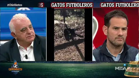 El 'palo' de Josep Pedrerol El 'palo' de Josep Pedrerol