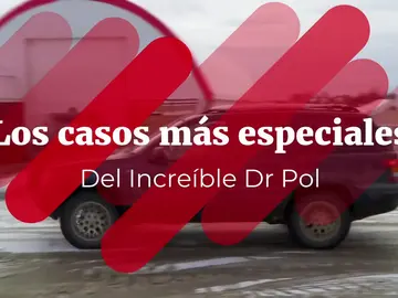 Conoce los casos más especiales del Increíble Doctor Pol Conoce los casos más especiales del Increíble Doctor Pol