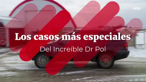 Conoce los casos más especiales del Increíble Doctor Pol Conoce los casos más especiales del Increíble Doctor Pol