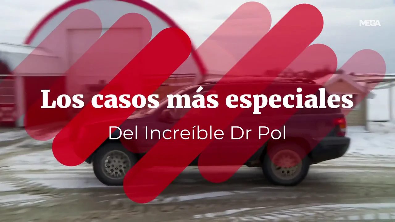 Conoce los casos m&aacute;s especiales del Incre&iacute;ble Doctor Pol