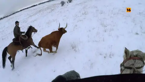 Mountain Men Mountain Men