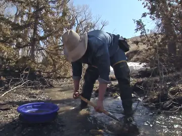 Josh busca oro Josh busca oro