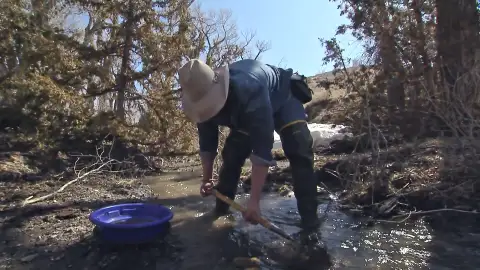 Josh busca oro mountain men