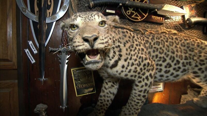 Un coleccionista de taxidermia vegana deja boquiabiertos a Mike y Frank