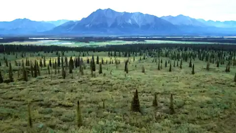 Estrenos en Mega Estrenos en Mega