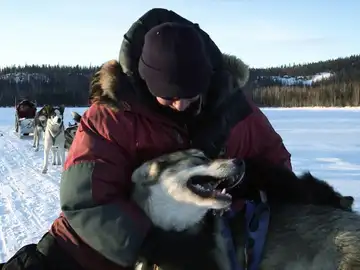 Así es como Kate y Andy adiestran a sus perros de trineo en Alaska 