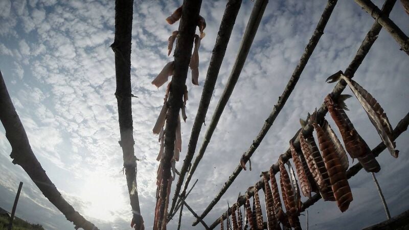 Los Hailstone aprovechan el deshielo para aprovisionarse de pescado para el invierno