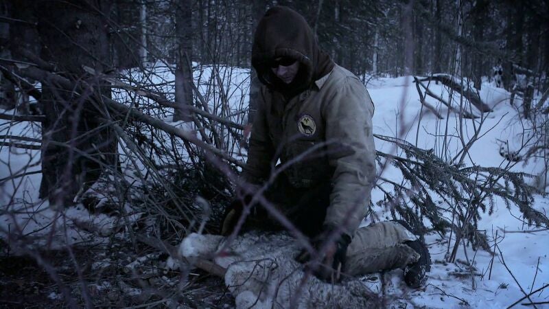 Andy Bassich revisa sus cebos y se sorprende al descubrir que ha atrapado un lince