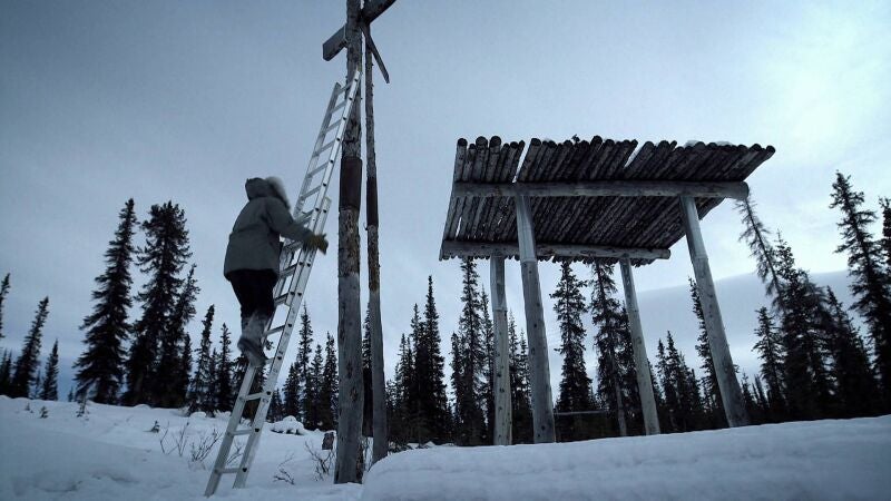 Un asalto animal a una plataforma de almacenamiento de carne preocupa a Glenn Villeneuve
