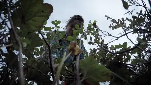 Agnes y sus hijas salen a cazar focas y patos, pero regresan a casa con una inesperada cosecha de bayas Agnes y sus hijas salen a cazar focas y patos, pero regresan a casa con una inesperada cosecha de bayas