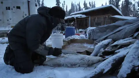 Jessie Holmes Vida bajo cero