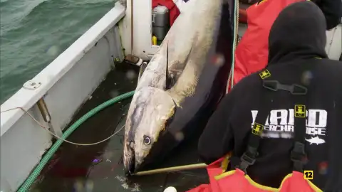 Pesca extrema Pesca extrema