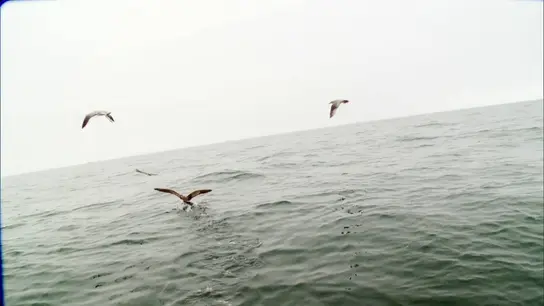 Pesca extrema Pesca extrema