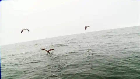Pesca extrema Pesca extrema