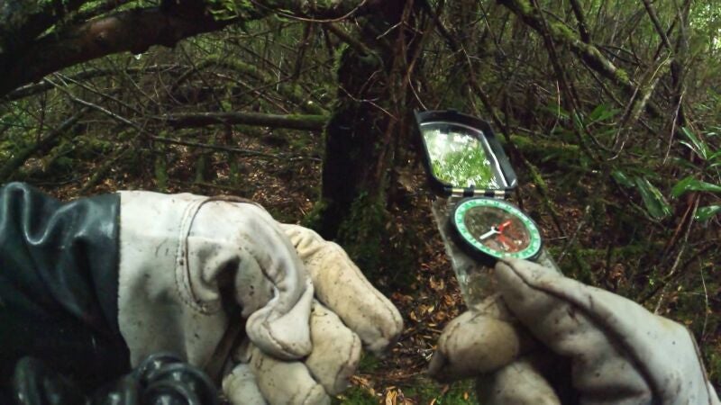 Michael está perdido en medio del bosque y sólo le quedan 40 minutos de luz diurna