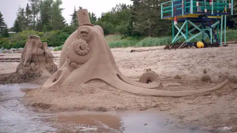 Pulpo de arena Desafío en la arena