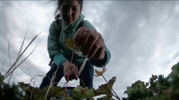 Tradición y supervivencia: Chip Hailstone fabrica un original recolector de bayas para sus hijas en el Ártico