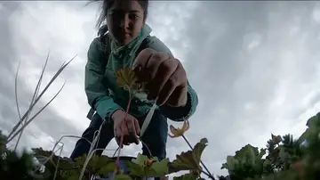 Tradición y supervivencia: Chip Hailstone fabrica un original recolector de bayas para sus hijas en el Ártico Tradición y supervivencia: Chip Hailstone fabrica un original recolector de bayas para sus hijas en el Ártico