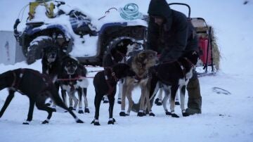 Jessie Holmes desafía la tundra ártica con un innovador sistema para sus perros de trineo