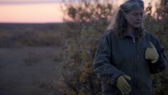 Sue se prepara para enfrentarse a un oso en su territorio 