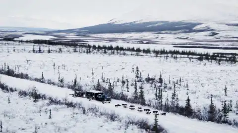 Jessie Holmes, contrarreloj para llegar a su nuevo campamento antes de que el hielo cierre las carreteras Jessie Holmes, contrarreloj para llegar a su nuevo campamento antes de que el hielo cierre las carreteras