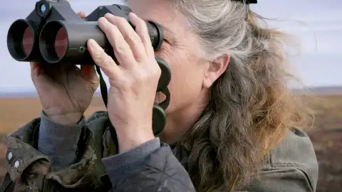 Un oso acecha el campamento de Sue Aikens y ella no duda en enfrentarse a él Un oso acecha el campamento de Sue Aikens y ella no duda en enfrentarse a él